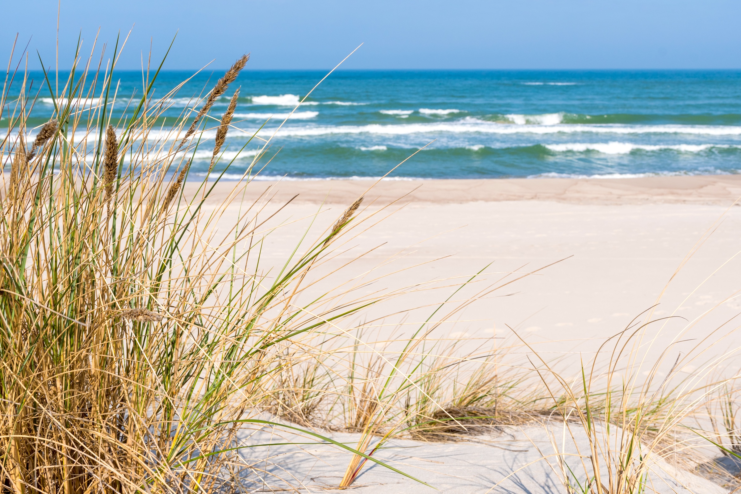Den hvite sandstranden på Kurenlandet ved Nida - raskt å nå med havneferge fra Klaipėda.